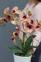 Ewelina, sztuczny storczyk w donicy - pucharze, wys.53cm