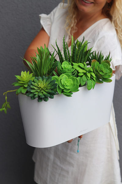 Fegia Delta, minimalistyczna kompozycja z sukulentów w eleganckiej donicy, wym.27x40cm