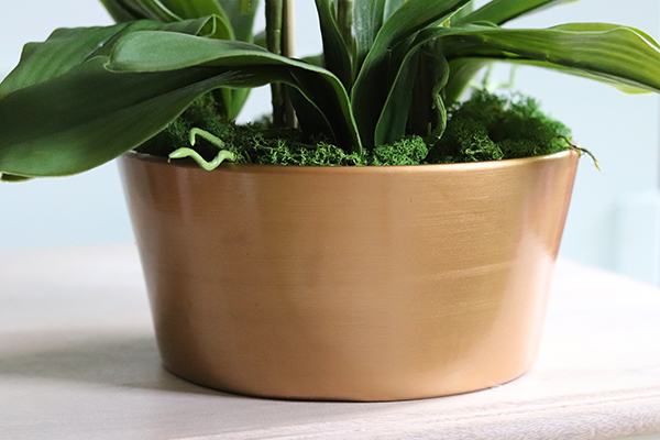 bardzo elegancki storczyk w złotej donicy, Humberto Malaga, wys.52cm