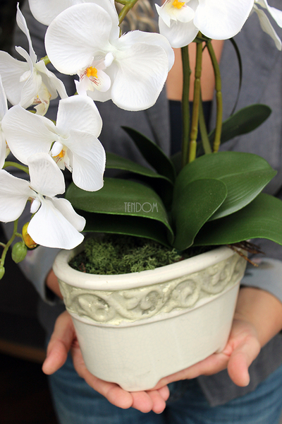 uroczy sztuczny storczyk w zdobionej donicy Kedra wys.43cm