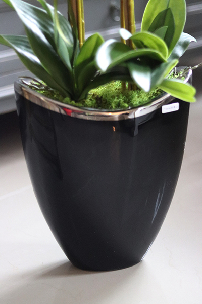 Gerrano, wysoki storczyk glamour, wys.80cm 