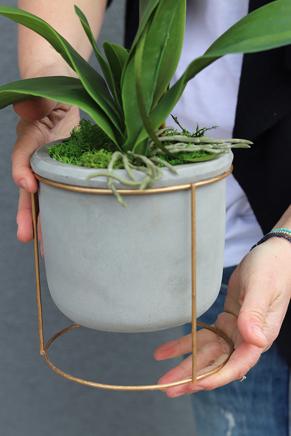 Gelona, storczyk w szarej donicy, wys.63cm 