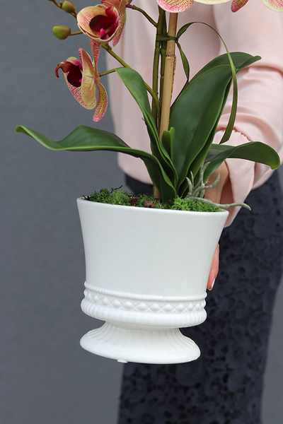 Ewelina, sztuczny storczyk w donicy - pucharze, wys.53cm