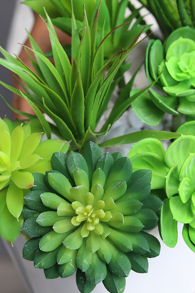 Fegia Delta, minimalistyczna kompozycja z sukulentów w eleganckiej donicy, wym.27x40cm