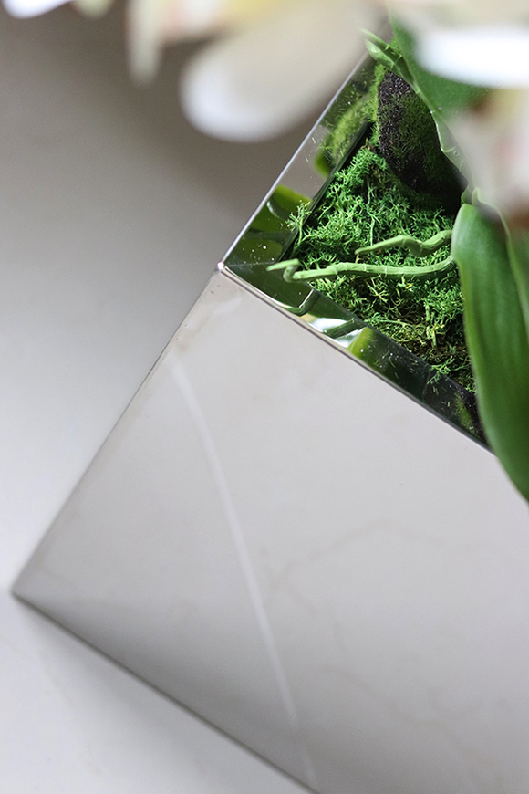 atrakcyjny storczyk w stalowej, lustrzanej donicy, Moderno Mirror Cube, wys.90cm