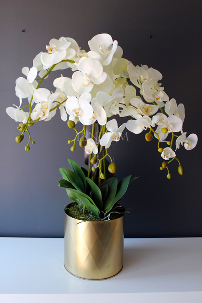 sztuczny storczy Golden Dreams, wys.85cm duży