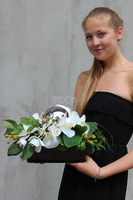 Deko Storczyk kompozycja kwiatowa w w ceramicznym naczyniu z lustrzanymi kulami dł.40cm