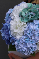 Blueno, kompozycja kwiatowa z hortensji w pudełku wys.37cm