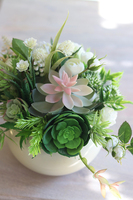 kompozycja sukulenty w okrągłej donicy, Trelisa, wym.29x35cm