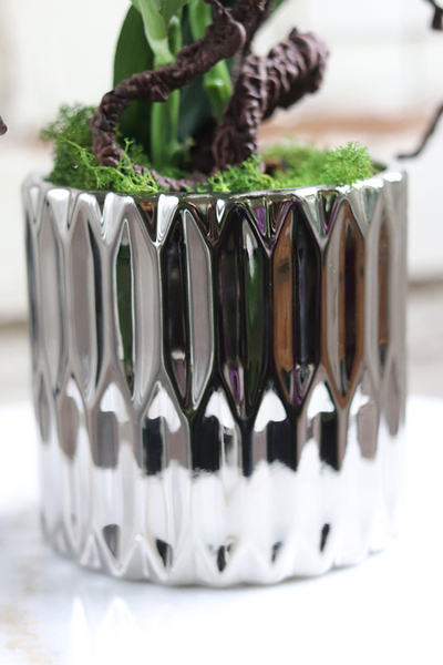 Lilie Silver, kompozycja w srebrnej donicy, wys.56cm