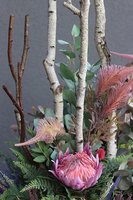 Fiberglass Moko Grey, ekskluzywna kompozycja w szarej donicy, wys.177cm 