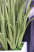 Fiberglass Grande Felina, sztuczna trawa z kłosami w kwadratowej donicy, wys.125cm