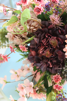 Hella, kompozycja kwiatowa w różowym naczyniu, wys.64cm