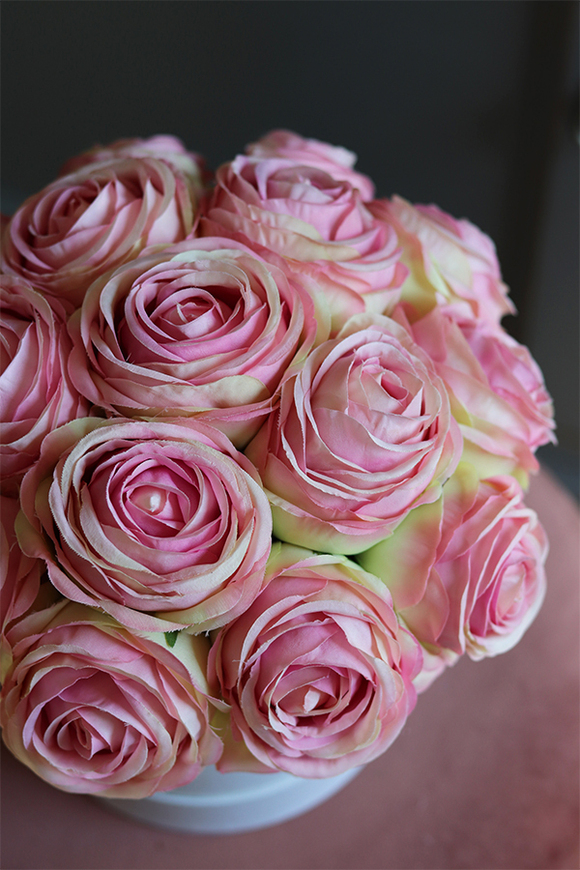 flowerbox z pięknymi różami, Rosanella New, wys.23cm