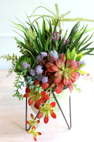 kompozycja sukulenty w donicy na stojaku, Marocco, wys.45cm