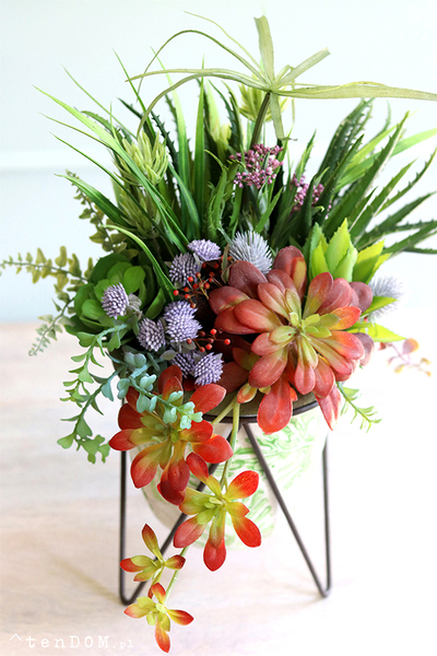 kompozycja sukulenty w donicy na stojaku, Marocco, wys.45cm