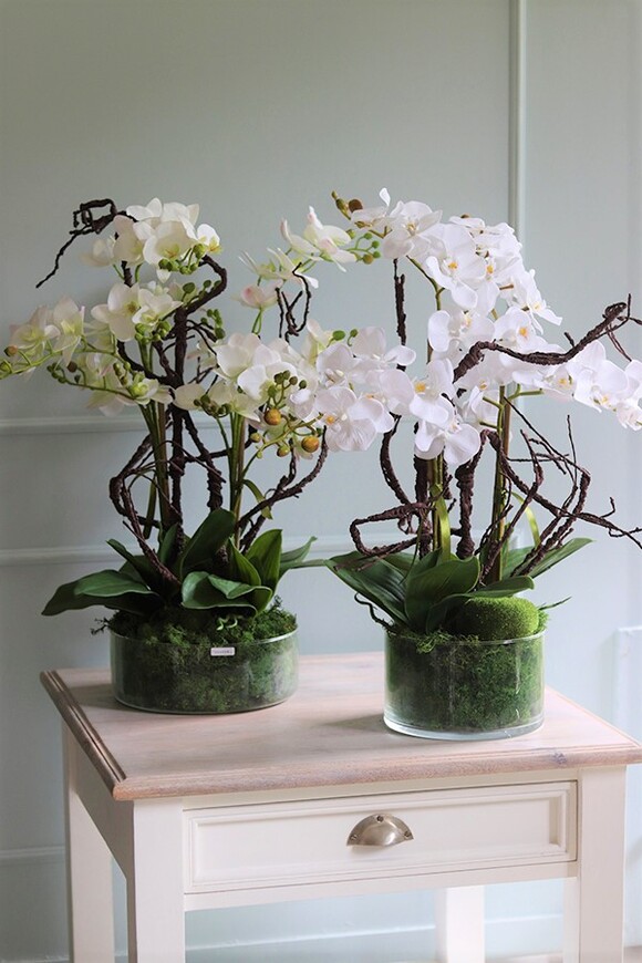 Glassier Niagara, gumowy storczyk w szklanej misie, wys.70cm