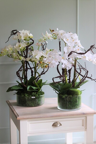 Glassier Niagara, gumowy storczyk w szklanej misie, wys.70cm