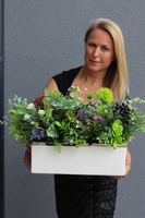 Ragona, zielona kompozycja w biało-srebrnej donicy, wym.37x67cm