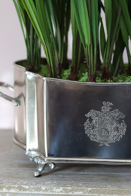 Szafirki, wiosenna kompozycja w cynowanej donicy, wys.32cm