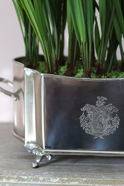 Szafirki, wiosenna kompozycja w cynowanej donicy, wys.32cm