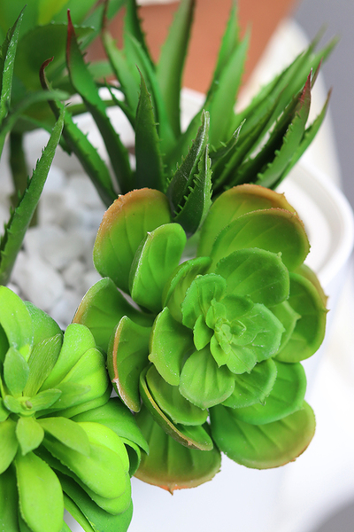 Fegia Delta, minimalistyczna kompozycja z sukulentów w eleganckiej donicy, wym.27x40cm