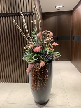 Fiberglass Moko Grey, ekskluzywna kompozycja w szarej donicy, wys.177cm 