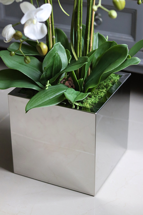 atrakcyjny storczyk w stalowej, lustrzanej donicy, Moderno Mirror Cube, wys.90cm