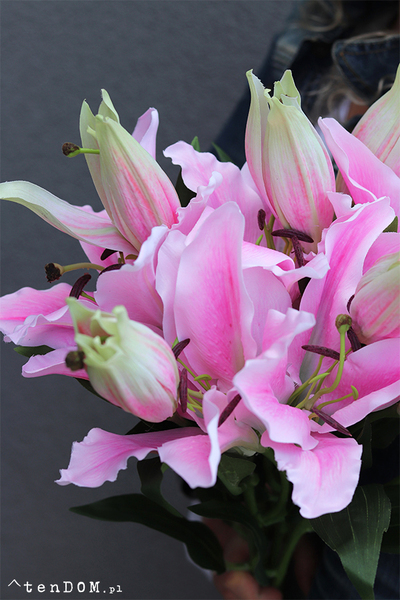 bukiet lilii Misella, różowe, 6szt, dł. 70cm