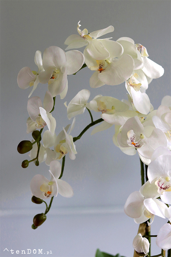 Maura 2, sztuczny storczyk w białej osłonce, wys.84cm 