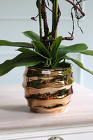 Jeremias Tulluza, sztuczny storczyk w złotej donicy, wys.70cm