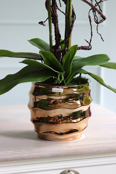 Jeremias Tulluza, sztuczny storczyk w złotej donicy, wys.70cm