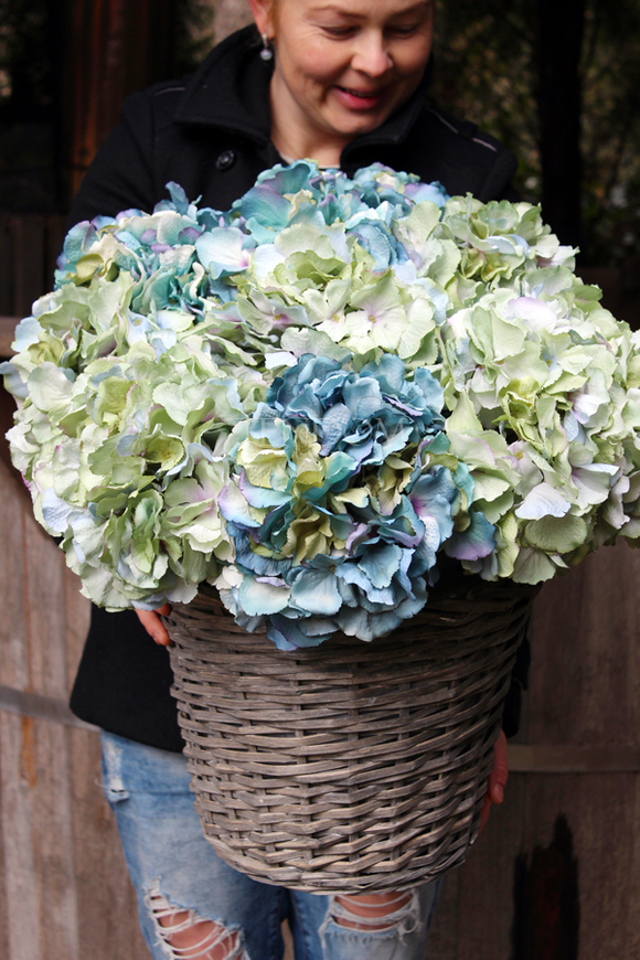 bogaty kosz ze szlachetnymi hortensjami Exclusive Blue Ocean 56x56cm