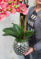 wyjątkowy sztuczny storczyk Mazalo, wys.60cm