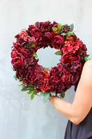 burgundowy, bardzo gęsty wianek Caryca Katarzyna, śr.50cm 