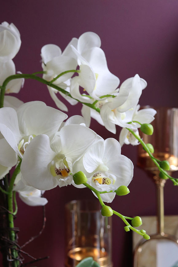 biały, storczyk w donicy glamour, Delloni White&Silver, wys.53cm