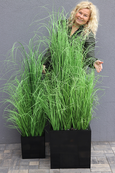 kompozycja Trawy Macarena Premium w sześciennej czarnej donicy, wys.140cm
