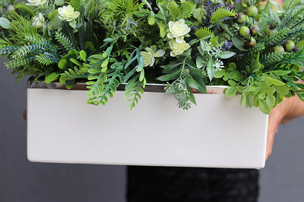 Ragona, zielona kompozycja w biało-srebrnej donicy, wym.37x67cm