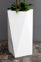 Grande Nevis White Giant, bardzo duży storczyk w nowoczesnej donicy, wys. 170cm