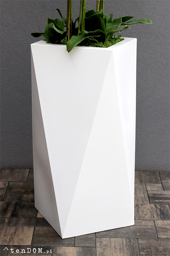 Grande Nevis White Giant, bardzo duży storczyk w nowoczesnej donicy, wys. 170cm