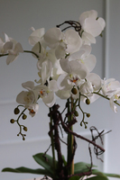 Jeremias Tulluza, sztuczny storczyk w złotej donicy, wys.70cm