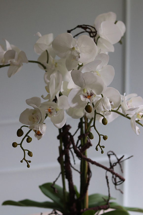 Jeremias Tulluza, sztuczny storczyk w złotej donicy, wys.70cm