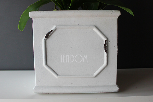 Wenecja storczyk w eleganckiej donicy, wys.90cm