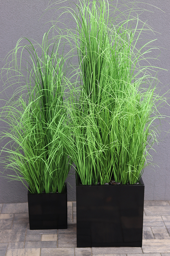 kompozycja Trawy Macarena Premium w sześciennej czarnej donicy, wys.140cm