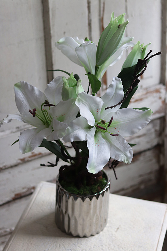 Lilie Silver, kompozycja w srebrnej donicy, wys.56cm