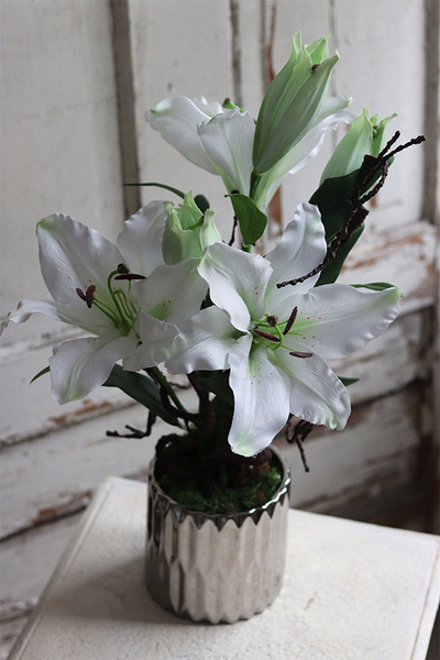 Lilie Silver, kompozycja w srebrnej donicy, wys.56cm