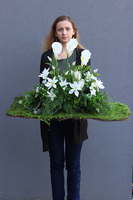nagrobna kompozycja z kallą, Kallito Biel, wys.60cm