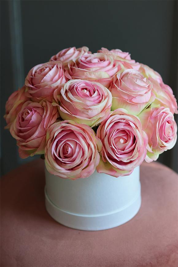 flowerbox z pięknymi różami, Rosanella New, wys.23cm