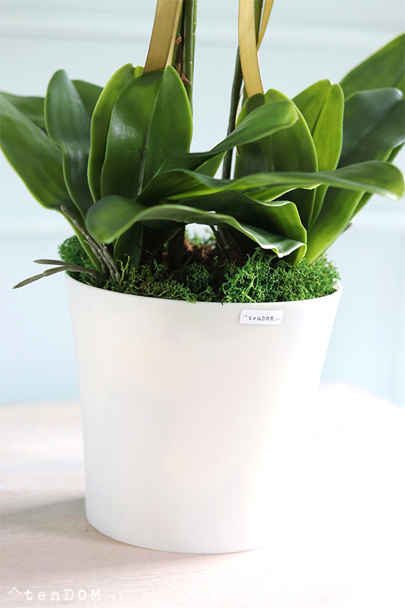 Maura 2, sztuczny storczyk w białej osłonce, wys.84cm 