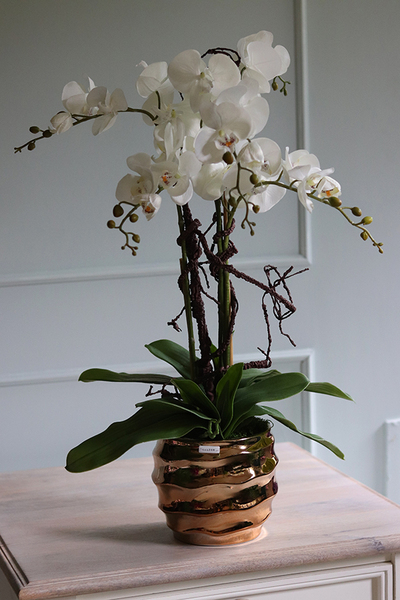 Jeremias Tulluza, sztuczny storczyk w złotej donicy, wys.70cm